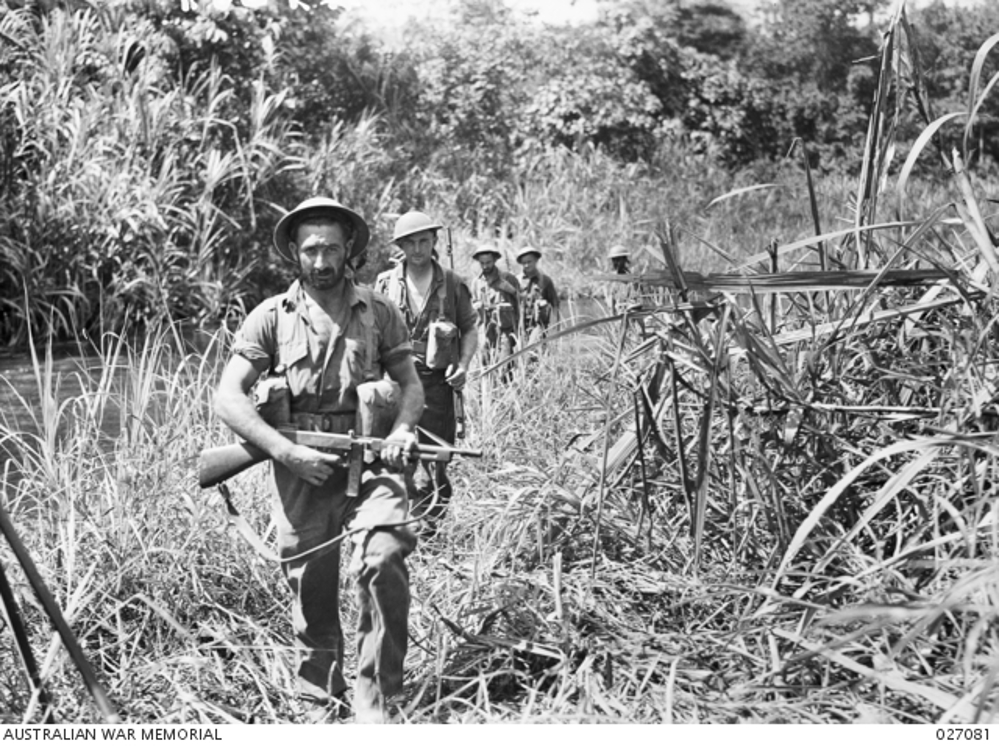 Australian soldiers patrol through the scrub and high grass in New Guinea in mid-1942. They Aussies are all wearing short-sleeved tropical military fatigues and brodie helmets. The undergrowth around them is very thick, full of tropical plants and fronds.