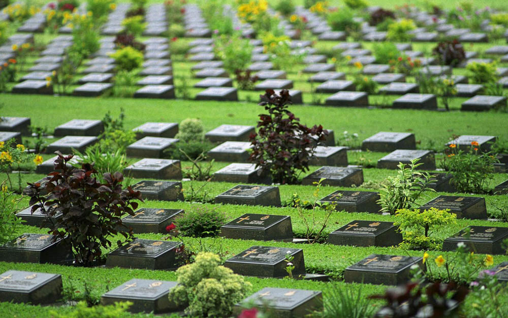 Close up view of rain-slicked, black-fronted bronze grave markers at Kanchanaburi War Cemetery. The graves sit on a lush green lawn. Plots have been bordered with local flora.