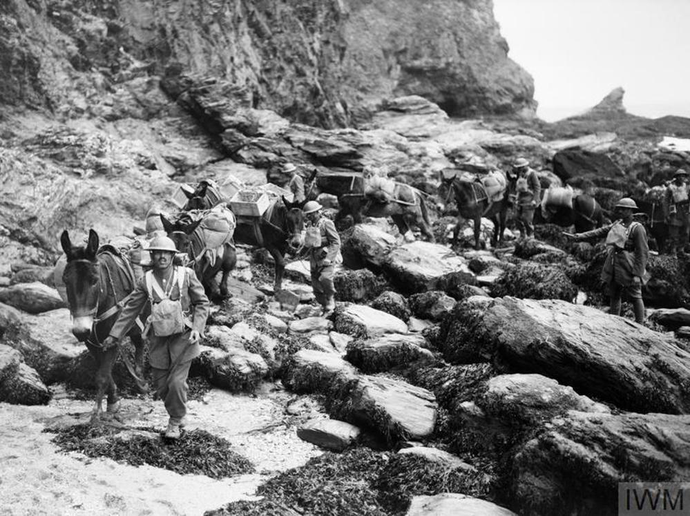 Indian Army logistics troops guide laden mules over rocky ground in the Welsh Mountains on a training exercise during the Second World War.