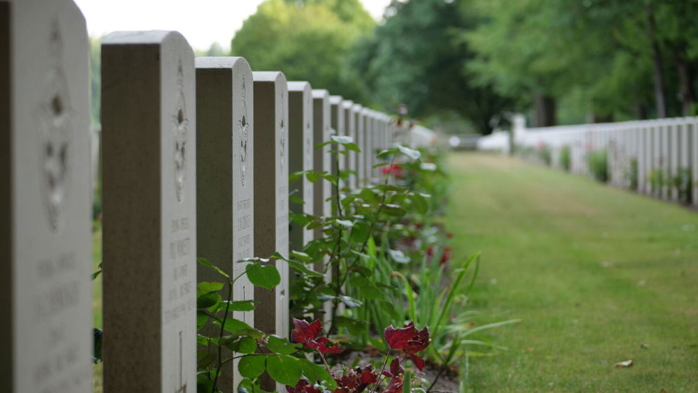 Close up of a row of headstones at Reichswald Military Cemetery. A variety of green plants and red roses have been planted in the borders of each war grave.