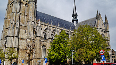 St. Martin’s Cathedral 