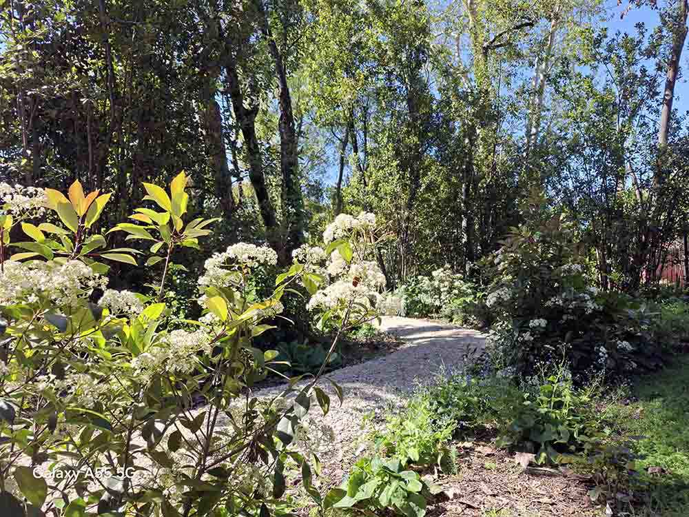 Garden Path at Rome War Cemetery