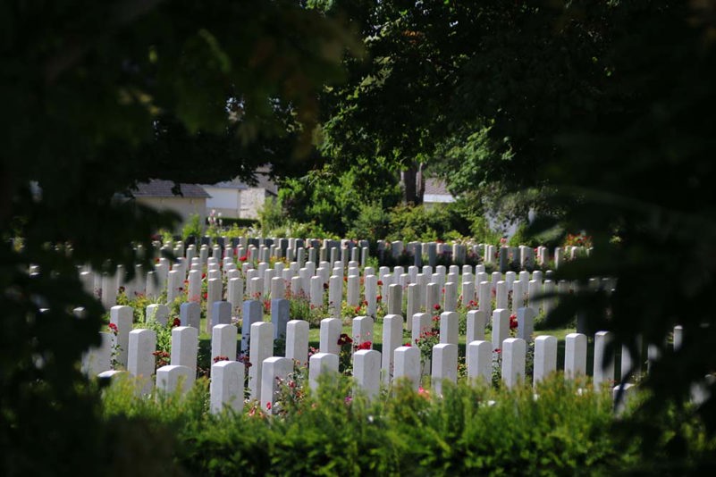 A view of headstones at Bayeux War Cemetery as seen through a circular gap in a pair of fir trees