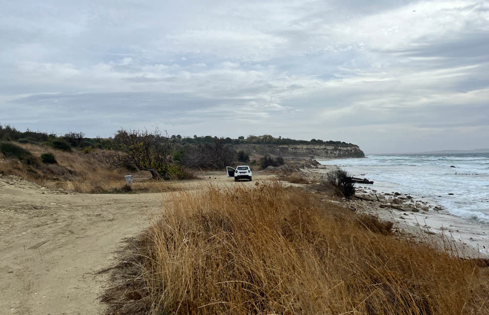 A windswept beach with a white car sat in the centre. The beach is studded with long dry brown reeds and scrub. The sea is lapping the shore.
